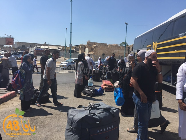 lud mo3tmreajn (19).jpg